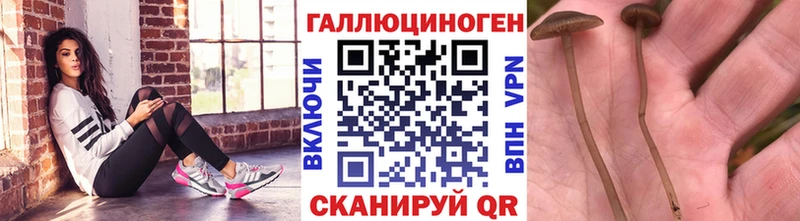 магазин продажи наркотиков  Орёл  Галлюциногенные грибы прущие грибы 